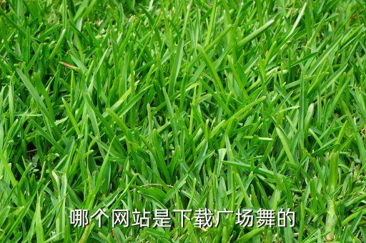 哪个网站是下载广场舞的