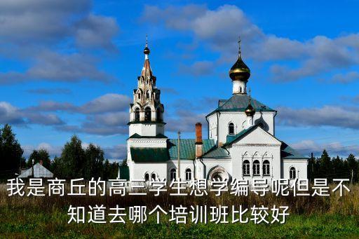 我是商丘的高三学生想学编导呢但是不知道去哪个培训班比较好