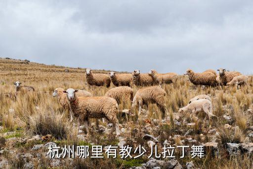 杭州哪里有教少儿拉丁舞