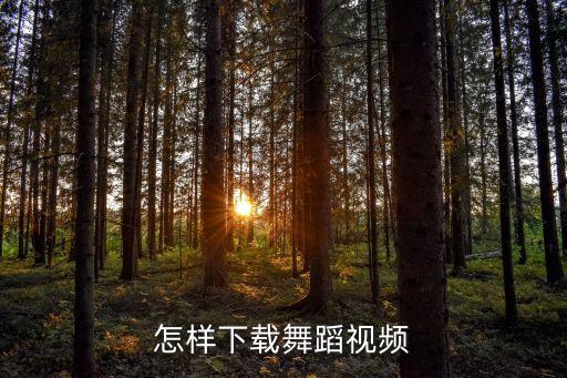 主爱在中华舞蹈视频怎么下载，怎么把舞蹈视频下载到u盘