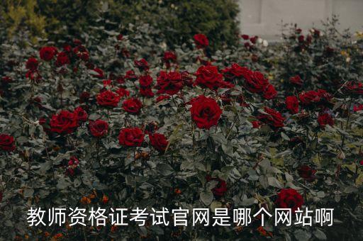 报考幼儿教师资格证的官网，怎么从网上报名考幼师资格证
