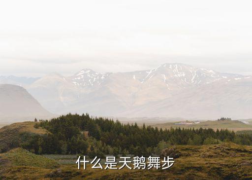 什么是天鹅舞步
