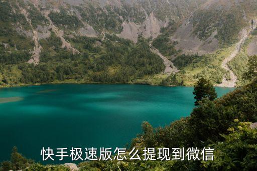 快手极速版2022正版，快手极速版赚到七块多少了没提现为什么自己清零了要从新登录  搜