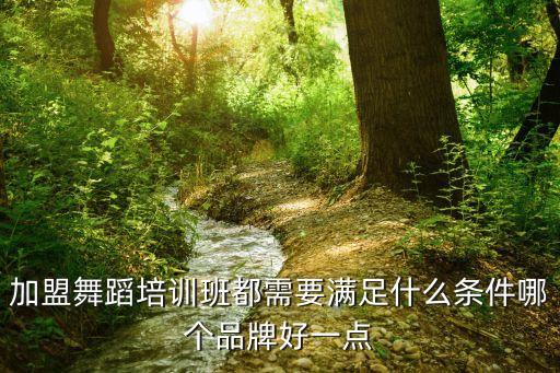 加盟舞蹈培训班都需要满足什么条件哪个品牌好一点