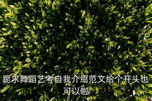 跪求舞蹈艺考自我介绍范文给个开头也可以啦