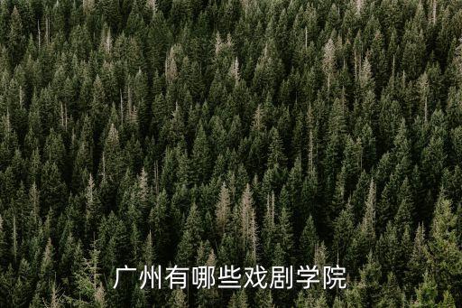 广州舞蹈戏剧学院，广舞戏职业学院是不是本科