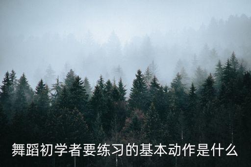 舞蹈初学者要练习的基本动作是什么