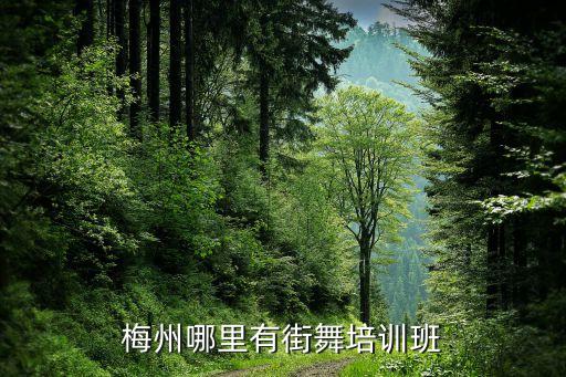 梅州哪里有街舞培训班