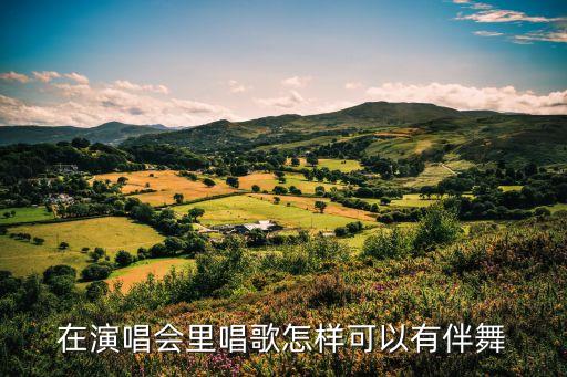 怎么可以给明星伴舞，在演唱会里唱歌怎样可以有伴舞