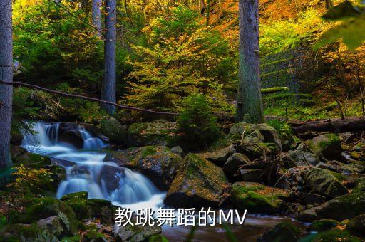 教跳舞蹈的MV