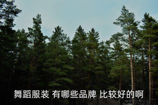 舞蹈服装 有哪些品牌 比较好的啊