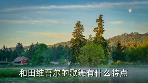 新疆舞特点是什么，新疆舞蹈有什么特点