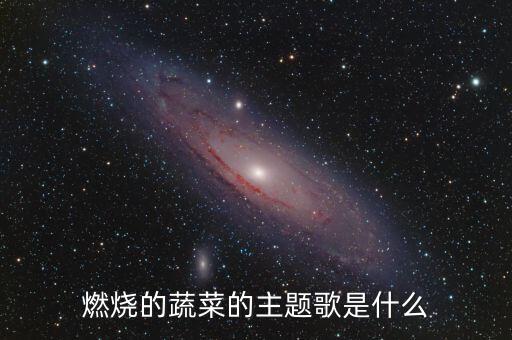燃烧的蔬菜歌曲歌词有哪些，燃烧的蔬菜的主题曲是什么