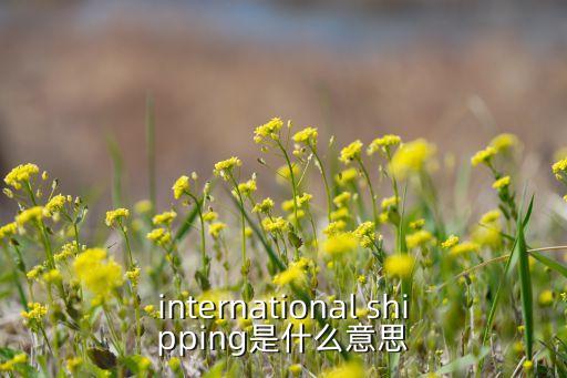 international shipping是什么意思