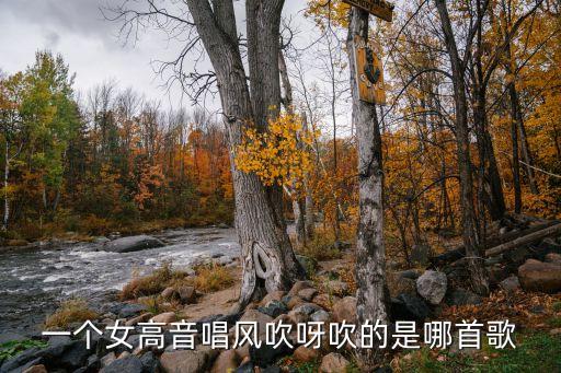 一个女高音唱风吹呀吹的是哪首歌
