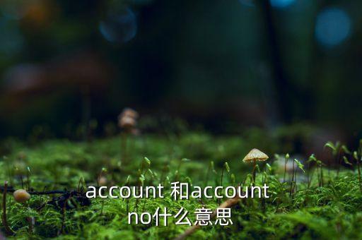 account 和account no什么意思