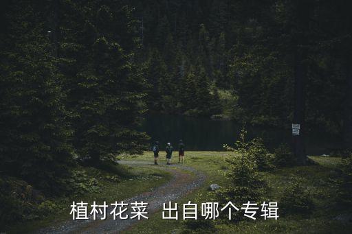 植村花菜  出自哪个专辑