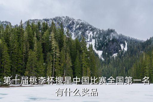 第十届桃李杯搜星中国比赛全国第一名有什么奖品