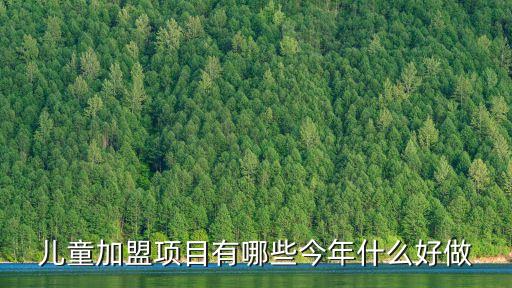 儿童加盟项目有哪些今年什么好做