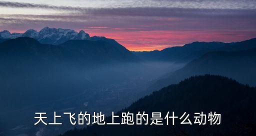 天上飞的地上跑的是什么动物