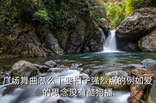 广场舞曲怎么下要拍子强烈点的例如爱的思念没有酷狗播