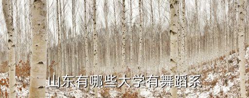 山东舞蹈艺术学校排名前十，山东有哪些大学有舞蹈系