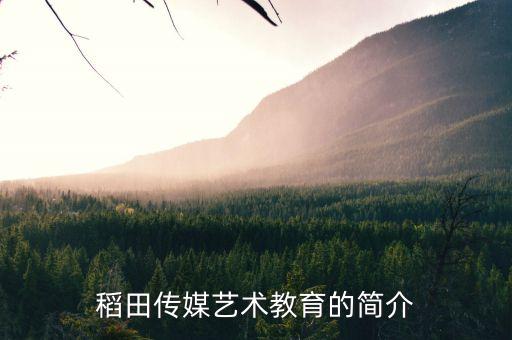 稻田传媒艺术教育的简介
