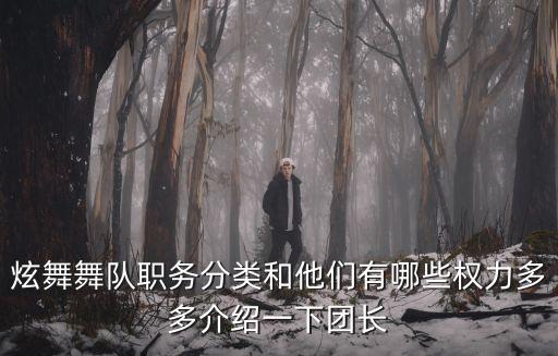 编舞队长是做什么的，炫舞舞队职务分类和他们有哪些权力多多介绍一下团长