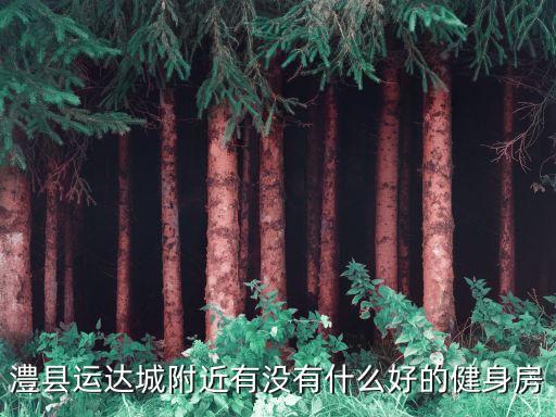 澧县运达城附近有没有什么好的健身房