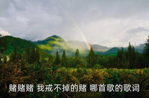 赌赌赌 我戒不掉的赌 哪首歌的歌词