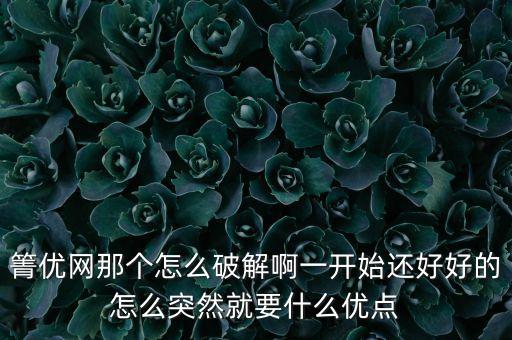 箐优网那个怎么破解啊一开始还好好的怎么突然就要什么优点