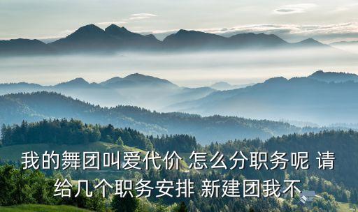 我的舞团叫爱代价 怎么分职务呢 请给几个职务安排 新建团我不
