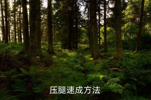 压腿速成方法