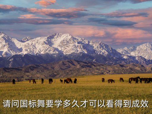 请问国标舞要学多久才可以看得到成效