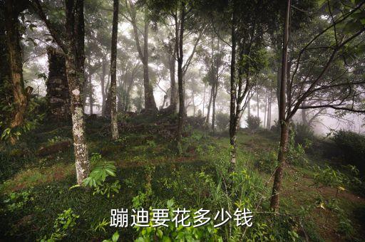 在大庆蹦迪大概多少钱，大庆夜未深怎么个消费