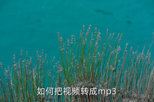 如何把视频转成mp3