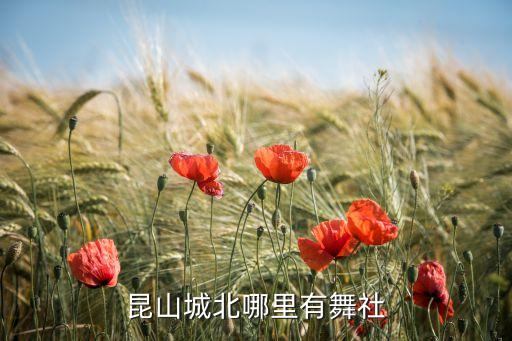 昆山城北哪里有舞社