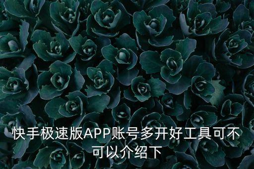 快手极速版APP账号多开好工具可不可以介绍下