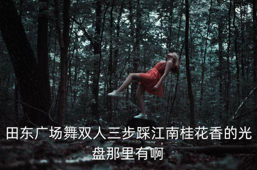 田东广场舞双人三步踩江南桂花香的光盘那里有啊