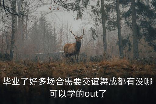 毕业了好多场合需要交谊舞成都有没哪可以学的out了