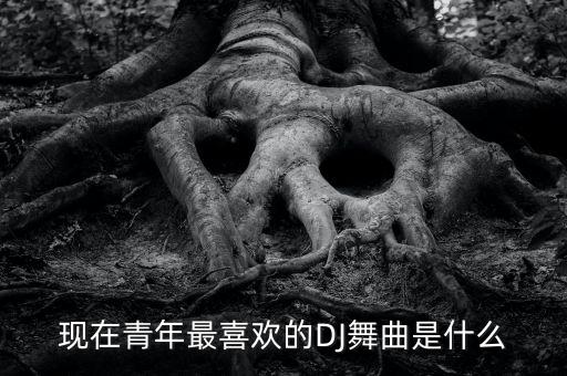 现在青年最喜欢的DJ舞曲是什么