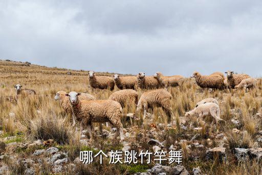 竹竿舞是哪个民族的舞蹈，竹竿舞到底是黎族的还是佤族的