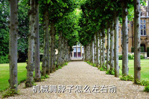 机械舞脖子怎么左右动