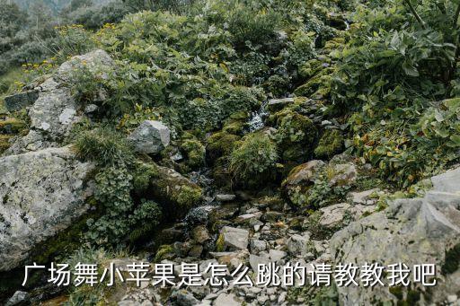 广场舞小苹果是怎么跳的请教教我吧