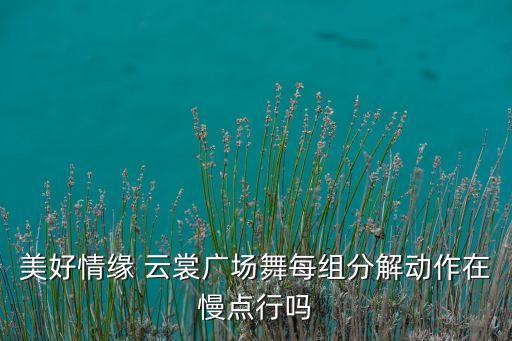 美好情缘 云裳广场舞每组分解动作在慢点行吗