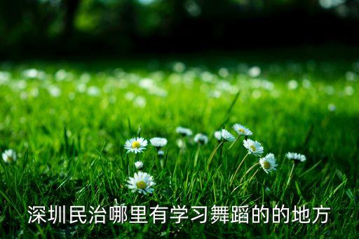 深圳民治哪里有学习舞蹈的的地方