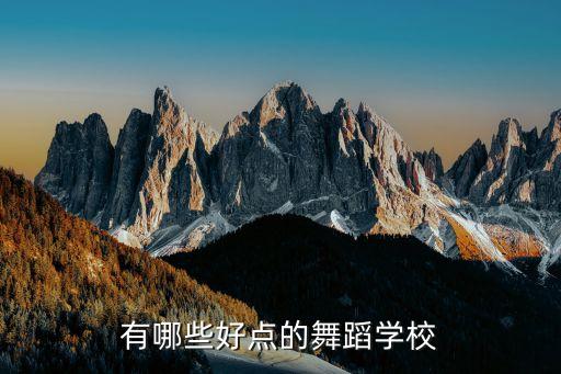 全国成人舞蹈培训机构排行榜，上海哪家舞蹈培训学校好