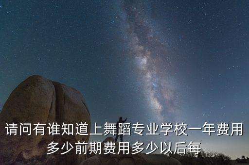 请问有谁知道上舞蹈专业学校一年费用多少前期费用多少以后每