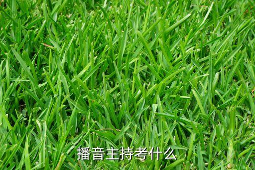 播音艺考，播音主持考什么