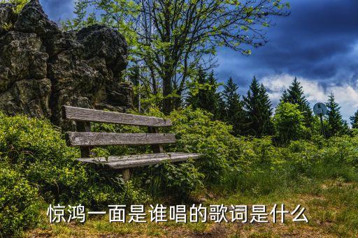 惊鸿一面是谁唱的歌词是什么